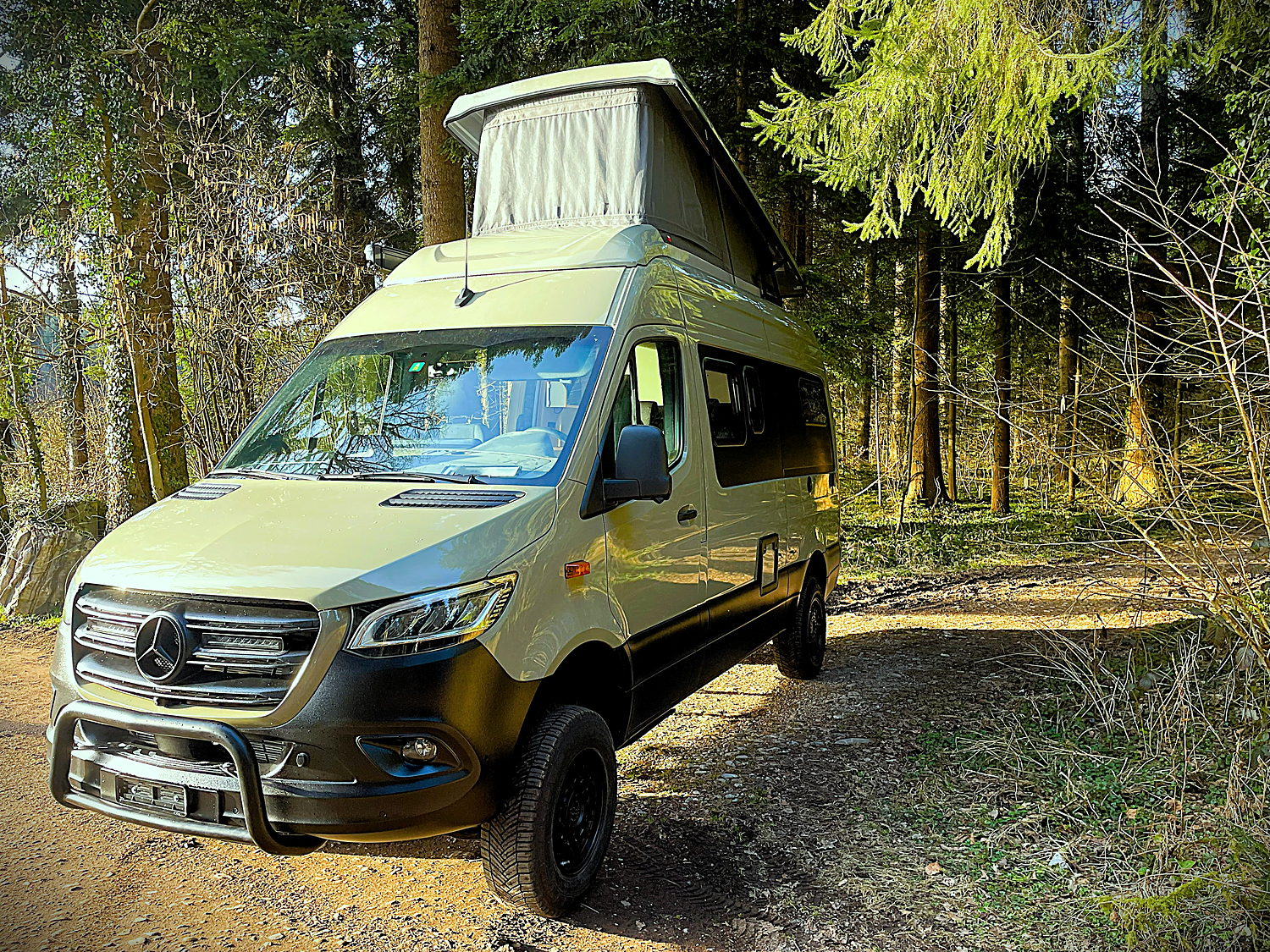 Mercedes Sprinter 4×4 mit aufgestelltem SCA Schlafdach im Wald, Sonne von der Seite