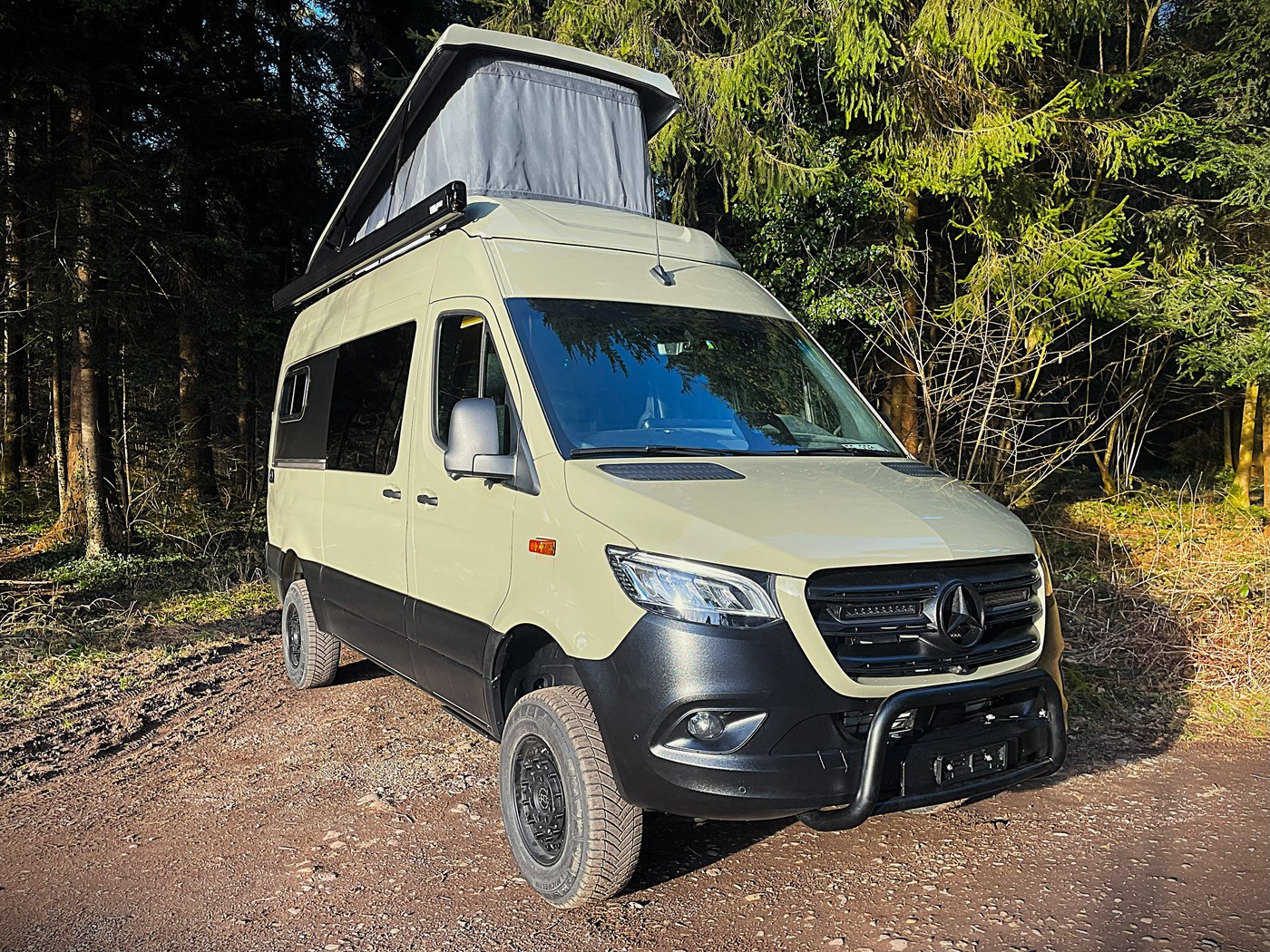 Grüner Sprinter im Wald mit aufgeklapptem Schlafdach
